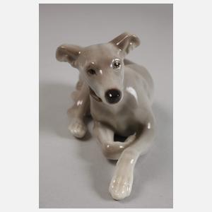 Nymphenburg "Liegender Windhund"