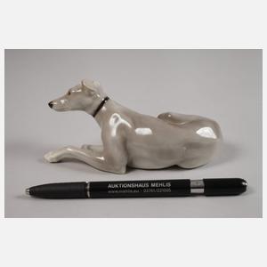 Nymphenburg "Liegender Windhund"