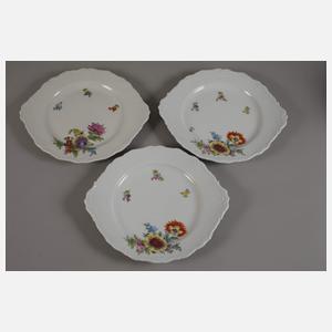 Potschappel Kaffee-/Teeservice Blumenmalerei