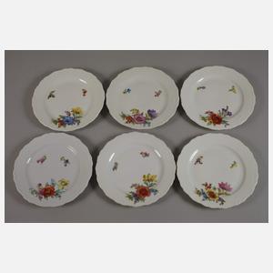 Potschappel Kaffee-/Teeservice Blumenmalerei