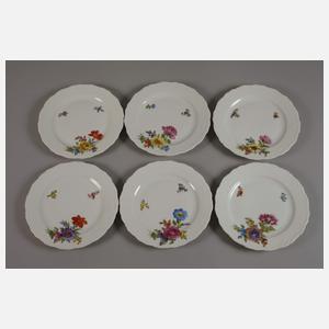 Potschappel Kaffee-/Teeservice Blumenmalerei