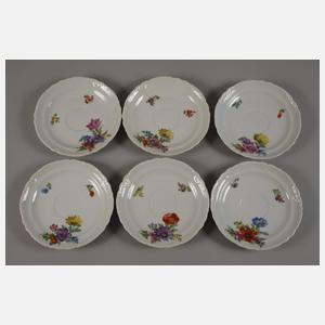 Potschappel Kaffee-/Teeservice Blumenmalerei