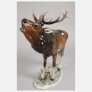 Rosenthal kapitaler "Hirsch"