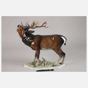 Rosenthal kapitaler "Hirsch"