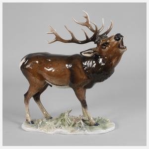 Rosenthal kapitaler "Hirsch"