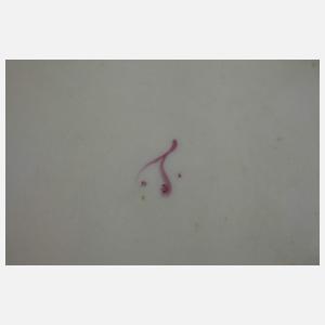 Tettau sechs Speiseteller Blumenmalerei