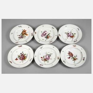 Tettau sechs Speiseteller Blumenmalerei