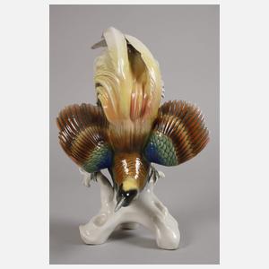 Karl Ens Volkstedt Paradiesvogel