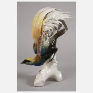 Karl Ens Volkstedt Paradiesvogel