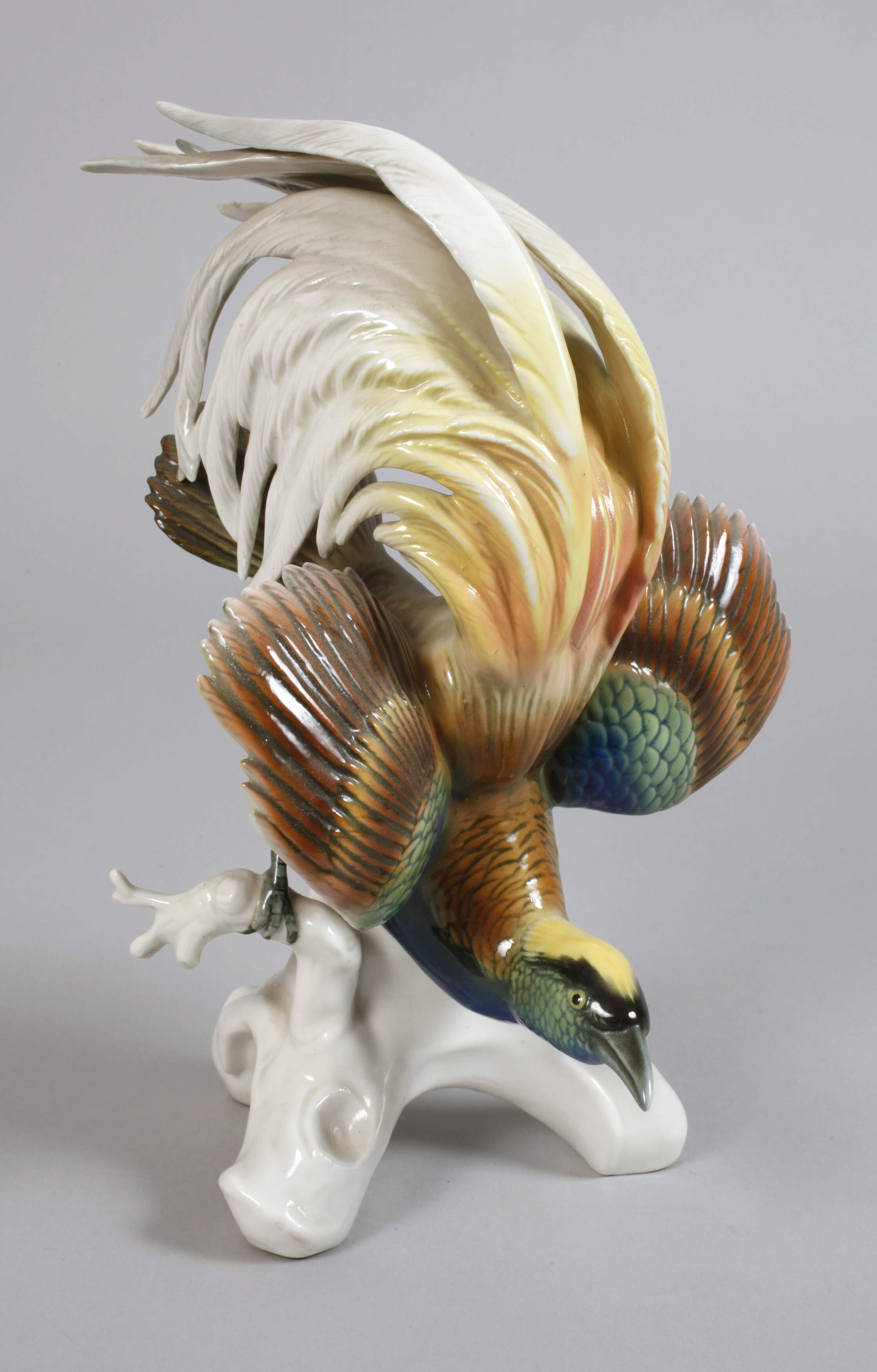 Karl Ens Volkstedt Paradiesvogel