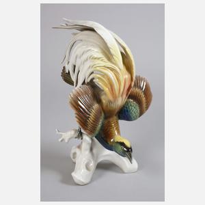 Karl Ens Volkstedt Paradiesvogel