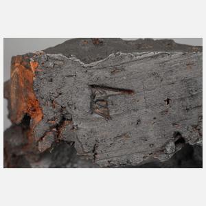 Monogrammist KW, Hundekopf Terrakotta