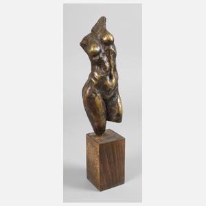 Weiblicher Torso