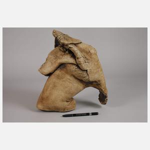 Dr. Peter Kobbe, Keramikobjekt Kopf