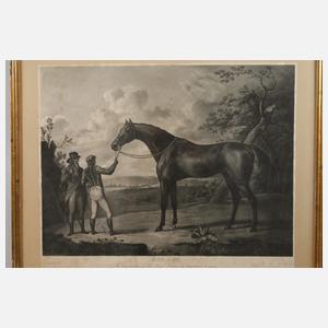 Robert Dodd, Paar Pferdedarstellungen