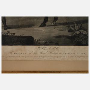 Robert Dodd, Paar Pferdedarstellungen