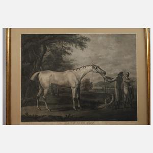 Robert Dodd, Paar Pferdedarstellungen