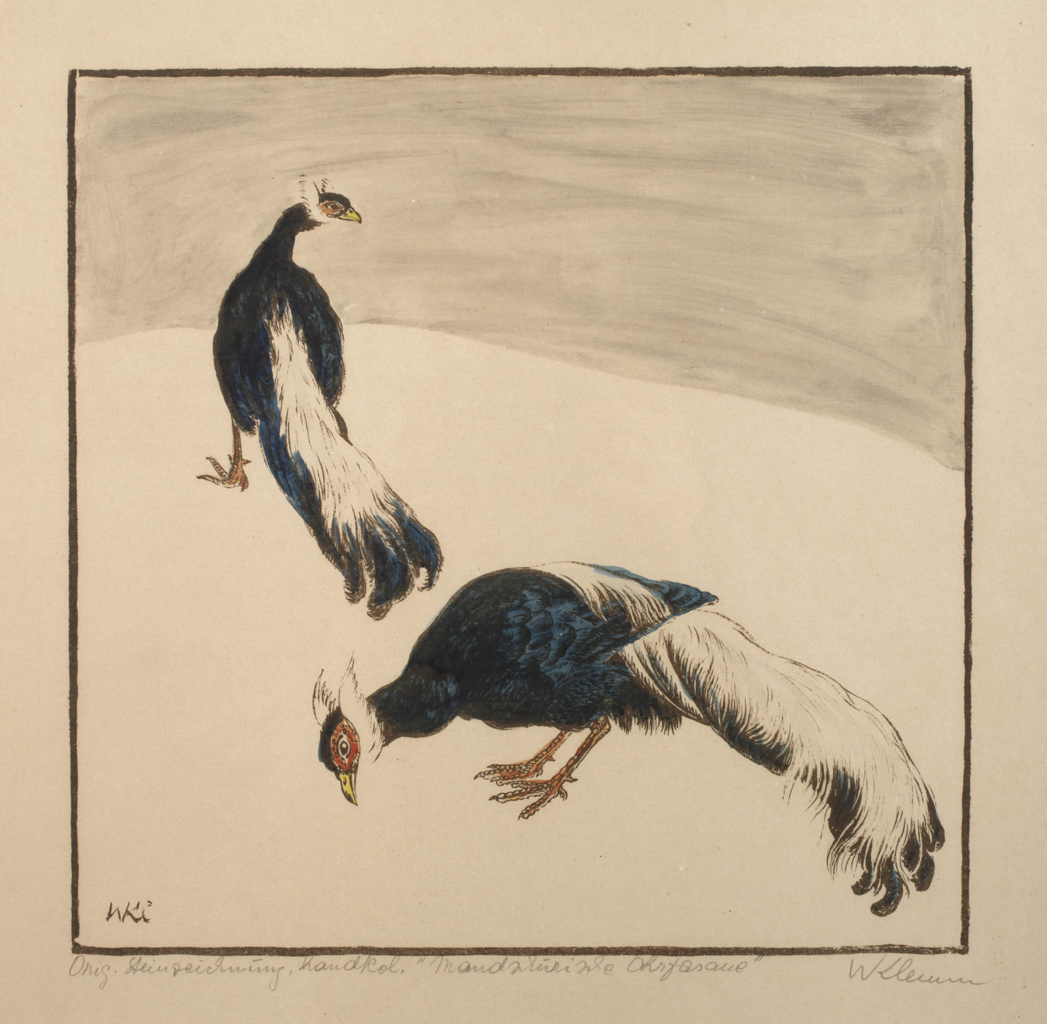 Walter Klemm, "Mandschurische Ohrfasane"