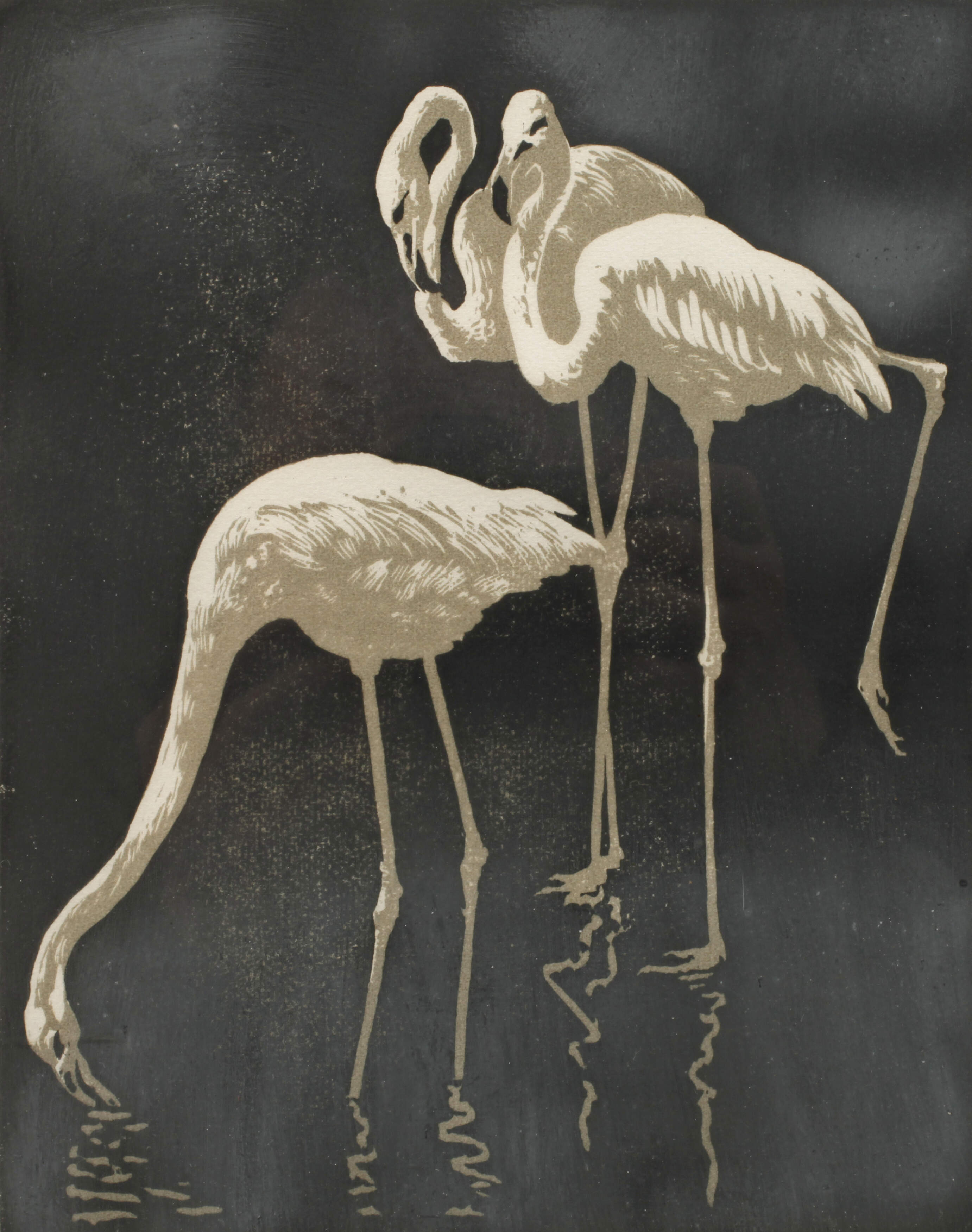 Walter Klemm, "Flamingos"