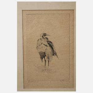 Walter Klemm, Konvolut Tierdarstellungen