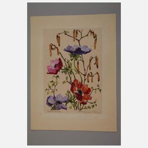 Marlies Meinshausen-Felsing, Frühlingsblumen