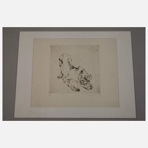 Curt Meyer-Eberhardt, Tiger