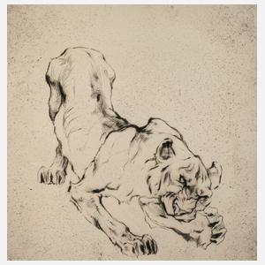 Curt Meyer-Eberhardt, Tiger