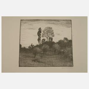 Hans von Volkmann, Graphikkonvolut