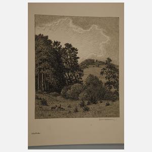 Hans von Volkmann, Graphikkonvolut