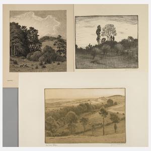 Hans von Volkmann, Graphikkonvolut