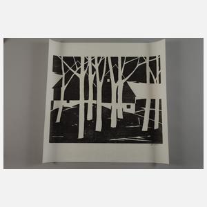 Ali Kurt Baumgarten, Graphikkonvolut