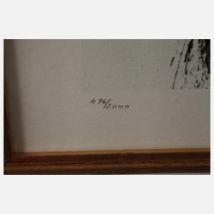 nach Salvador Dali, "Tienta en Espania"