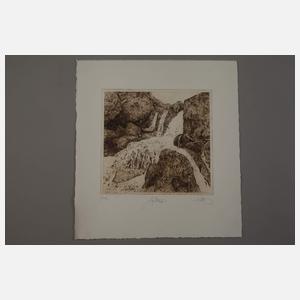 Walter Herzog, Graphikkonvolut