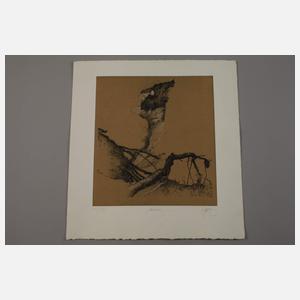 Walter Herzog, Graphikkonvolut