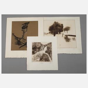 Walter Herzog, Graphikkonvolut