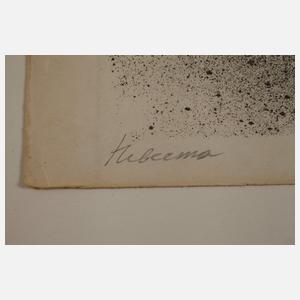 Anatolij Lvovic Kaplan, Der Geiger