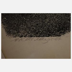 Anatolij Lvovic Kaplan, Der Geiger