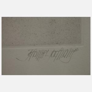 Johannes Gachnang, "Oikerna-Temple de l'amour"