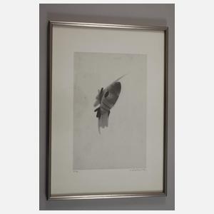 Hans Salentin, Konvolut Druckgraphik