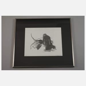 Hans Salentin, Konvolut Druckgraphik