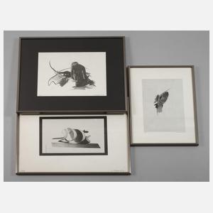 Hans Salentin, Konvolut Druckgraphik