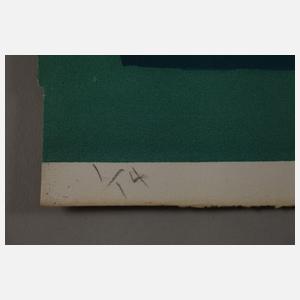 Expressiver Siebdruck