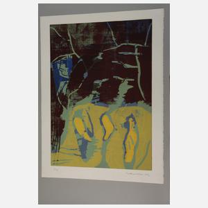 Konvolut Farbgraphik