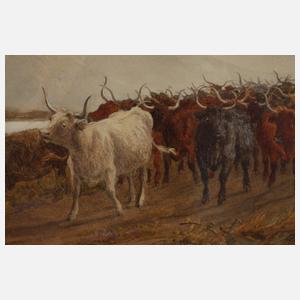 John Carlisle, Rinderherde in bergiger Landschaft