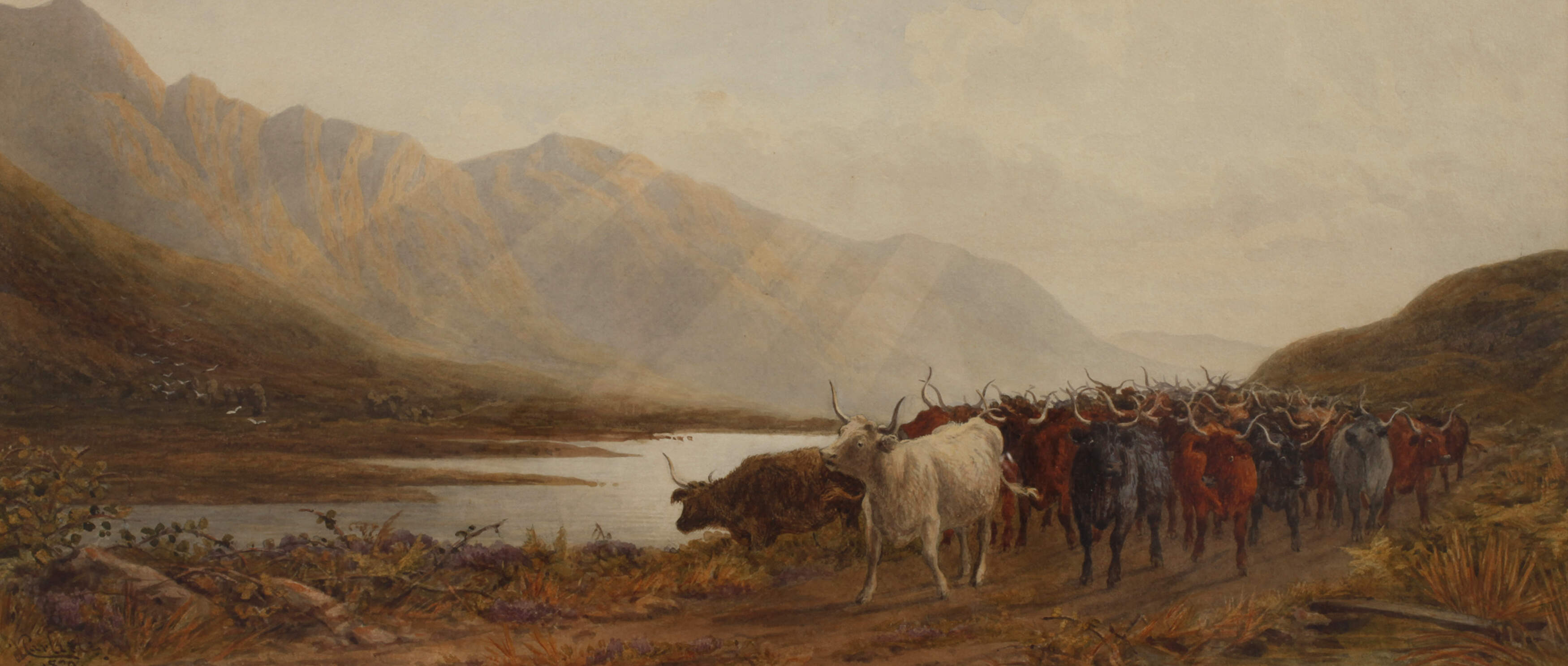 John Carlisle, Rinderherde in bergiger Landschaft