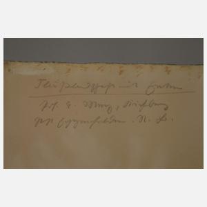 Erwin Merz, Ententeich