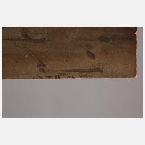 Der alte Federlhof in Wien 