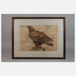 Johannes Poppen, Steinadler