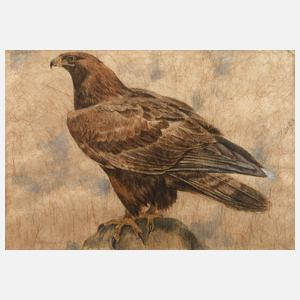 Johannes Poppen, Steinadler