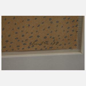 Michael Buthe, Pointillistische Komposition